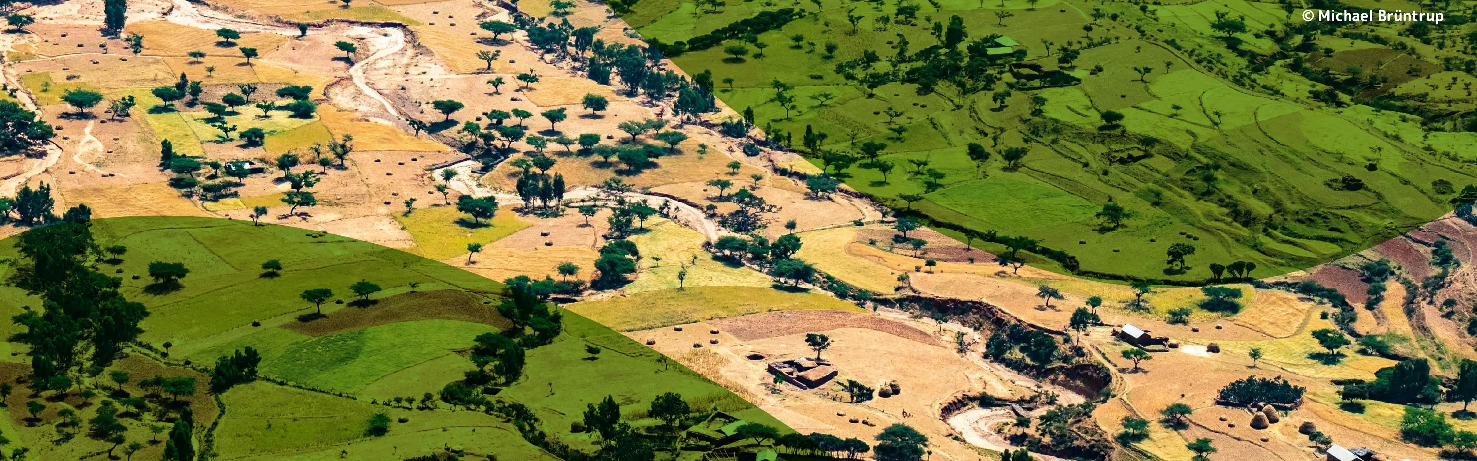 Bird's eye view photo of fields in Africa