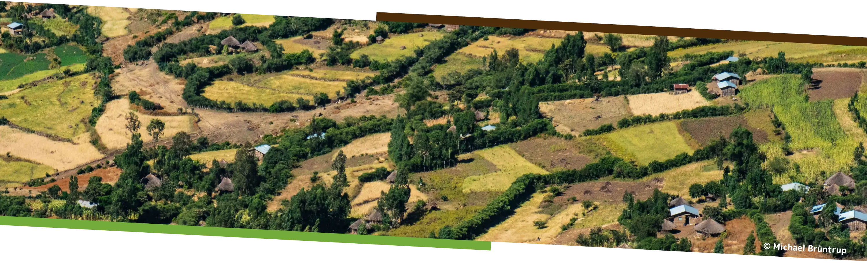 Bird's eye view photo of fields in Africa